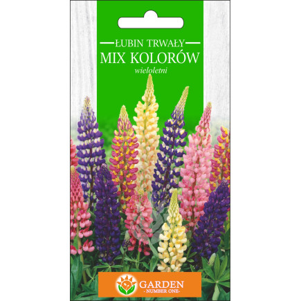 Łubin trwały Mix Kolorów (Lupinus hartwegii) 1 g 