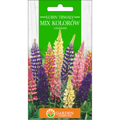 Łubin trwały Mix Kolorów (Lupinus hartwegii) 1 g 