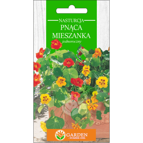 Nasturcja pnąca Mieszanka (Tropaeolum majus) 2 g 