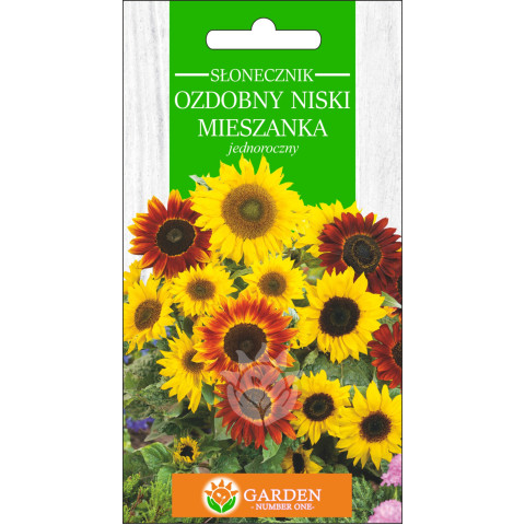 Słonecznik ozdobny niski Mieszanka (Helianthus annuus) 2 g 