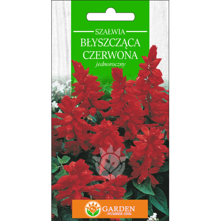 Szałwia błyszcząca Czerwona (Salvia splendens) 0.5 g 