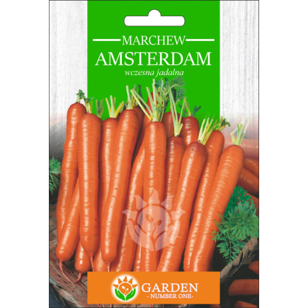 Marchew Amsterdam 10 g 