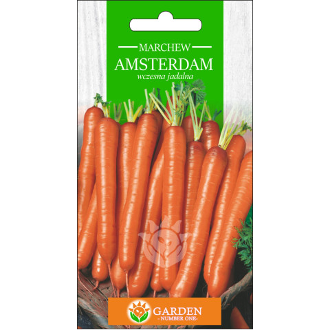 Marchew Amsterdam 3 g 