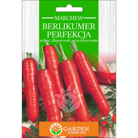 Marchew Berlikumer Perfekcja 10 g 