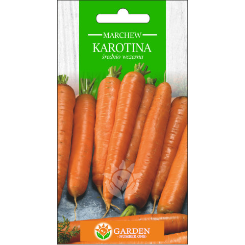 Marchew Karotina 3 g 