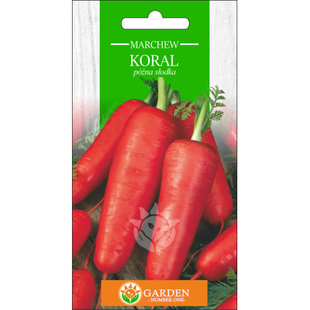 Marchew Koral 3 g 