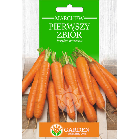 Marchew Pierwszy Zbiór 10 g 