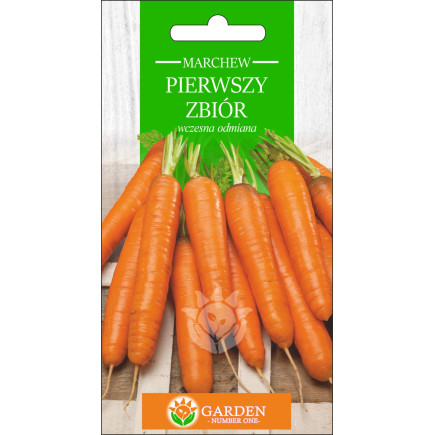Marchew Pierwszy Zbiór 3 g 