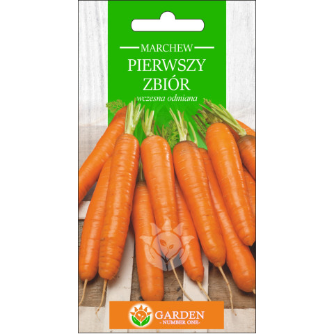 Marchew Pierwszy Zbiór 3 g 