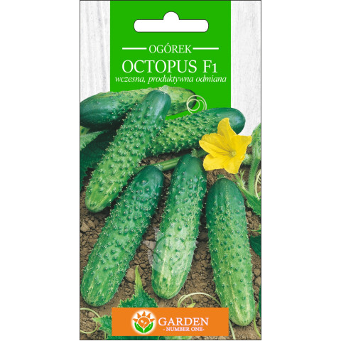 Ogórek Octopus F1 5 g 