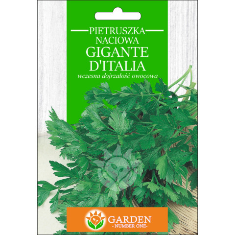 Pietruszka naciowa Gigante D'Italia 20 g 