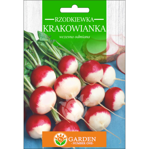 Rzodkiewka Krakowianka 10 g