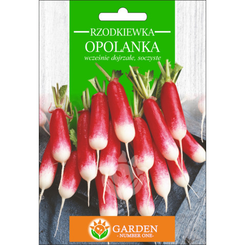 Rzodkiewka Opolanka 10 g