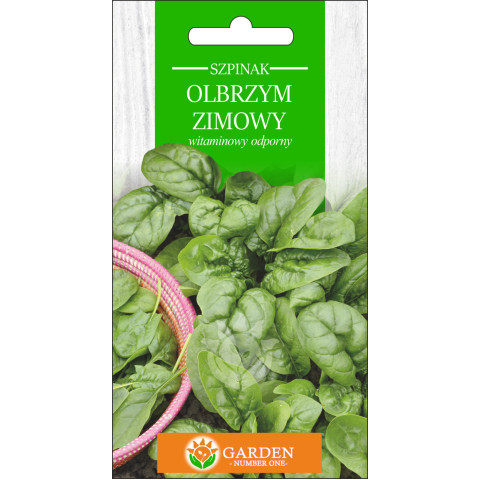 Szpinak Olbrzym Zimowy 5 g 