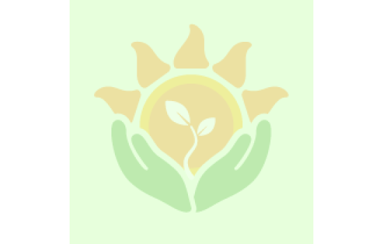 Późne pomidory: cechy i najlepsze odmiany